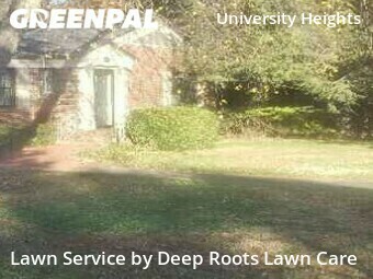 Grass Cut nearby Springfield, MO, 