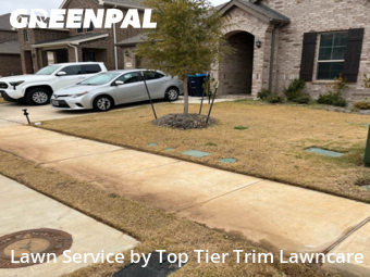 Yard Cutting nearby Fort Worth, TX, 