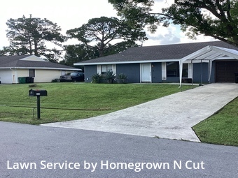 Grass Cutting nearby Port St. Lucie, FL, 