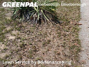 Grass Cut nearby Charleston, SC, 