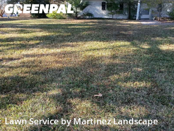 Yard Upkeep in Ocala, 34476, Yard Care Services by Martinez Landscape, work completed in Dec , 2025