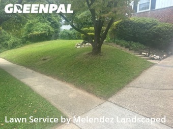 Lawn Mowing nearby Bethesda, MD, 