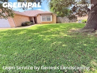 Yard Cutting nearby Katy, TX, 