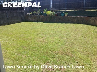 Grass Cuttingin Fort Worth,76131,Lawn Care Service by Olive Branch Lawn, work completed in Jun , 2026