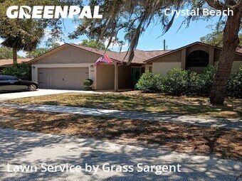Lawn Cutting nearby Palm Harbor, FL, 