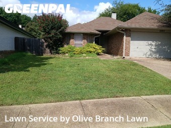 Lawn Cuttingin Keller,76248,Grass Cut by Olive Branch Lawn, work completed in Dec , 2025