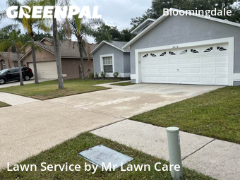 Grass Cutting nearby Bloomingdale, FL, 