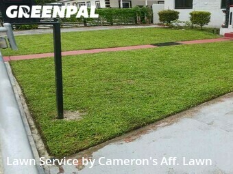 Lawn Service nearby Opa Locka, FL, 