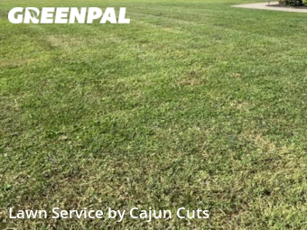 Grass Cutting nearby Murfreesboro, TN, 