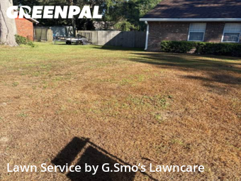 Lawn Care nearby Newberry, FL, 
