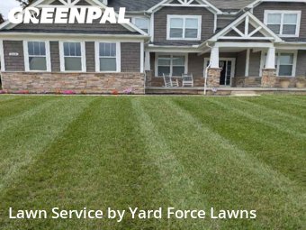 Backyard Mowing in Avon, 44011, Turf Services by Yard Force Lawns, work completed in Nov , 2025