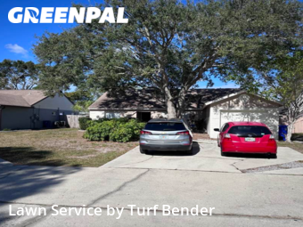 Lawn Cut nearby Oldsmar, FL, 