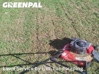 Grass Cutting nearby Portsmouth, VA, 