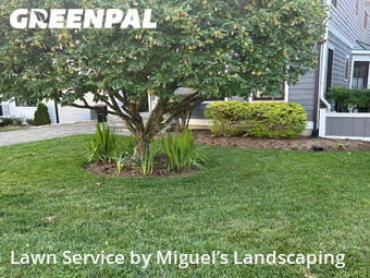 Lawn Care Service nearby Annapolis, MD, 