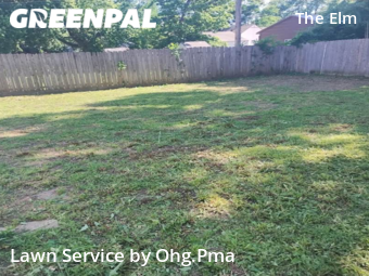 Lawn Maintenance nearby Wichita, KS, 