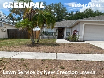 Lawn Cut nearby Brandon, FL, 