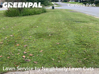 Lawn Care Service nearby Pensacola, GA, 
