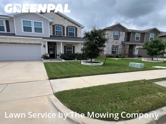 Grass Cut nearby Forney, TX, 