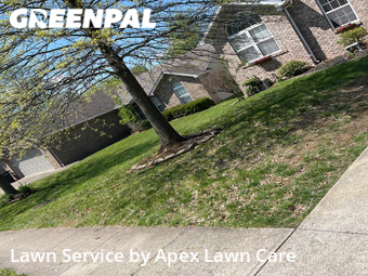 Lawn Mow nearby Jeffersonville, IN, 