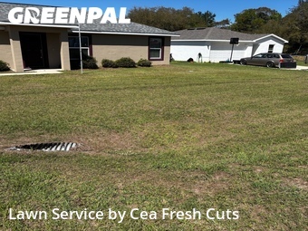 Lawn Mowing Service nearby Ocala, FL, 