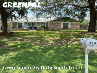 Grass Cut nearby Orange Park, FL, 