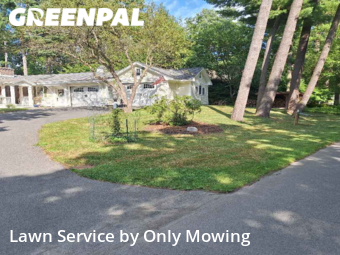 Grass Cutting nearby Delmar, NY, 