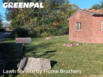 Grass Cut nearby Clinton Township, MI, 