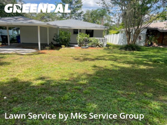 Lawn Mow nearby Tampa, FL, 