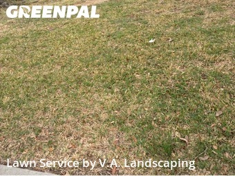 Grass Cutting nearby Spring, TX, 