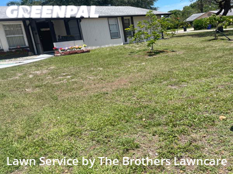 Grass Cutting nearby Naples, FL, 