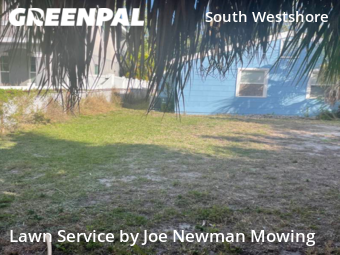 Yard Cutting nearby Tampa, FL, 