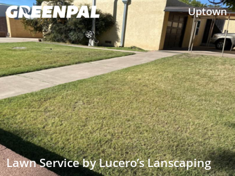 Modern Landscaping In Albuquerque,87110,Landscaping Cleanup by Lucero’s Lanscaping, work completed in Nov , 2025