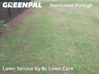 Lawn Care nearby Raleigh, NC, 