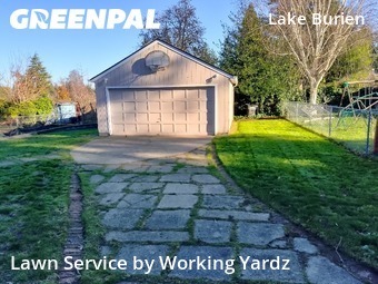 Lawn mowed in Burien, 98166