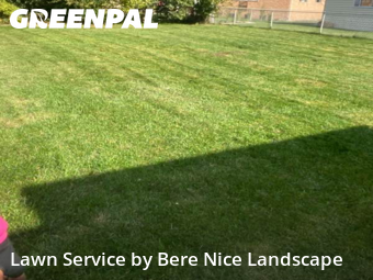 Grass Cut nearby Niles, IL, 