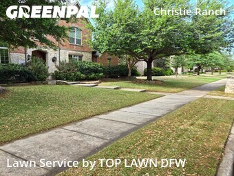 Grass Cut nearby Frisco, TX, 