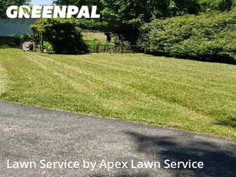 Grass Cutting nearby Johnson City, TN, 