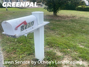 Grass Cut nearby Chattanooga, GA, 