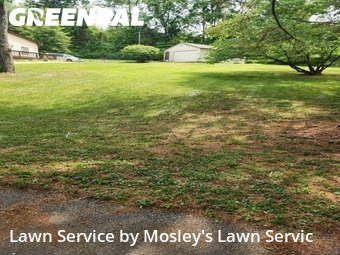 Lawn Cutting nearby Clarksville, TN, 