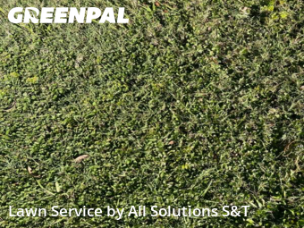 Yard Services in Poinciana, 34759, Yard Upkeep by All Solutions S&T , work completed in Dec , 2025