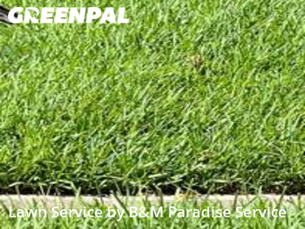 Grass Cut nearby Ocoee, FL, 