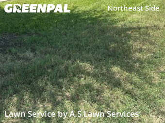 Yard Cuttingin Schertz,78154,Lawn Maintenance by A.S Lawn Services, work completed in Nov , 2025