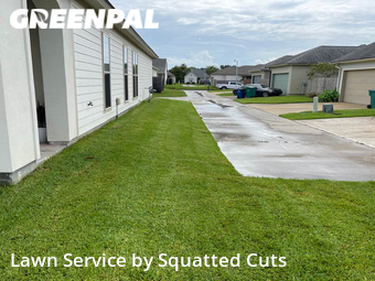Yard Cutting nearby Youngsville, LA, 