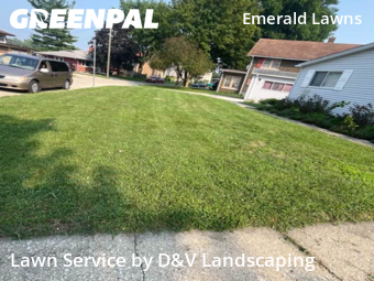 Lawn Cutting nearby Joliet, IL, 
