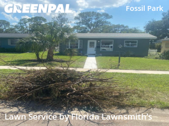 Lawn Cut nearby St. Petersburg, FL, 