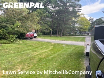 Lawn Cut nearby Waterford Township, MI, 