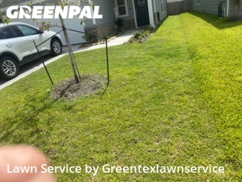 Lawn Mowing Service nearby Katy, TX, 