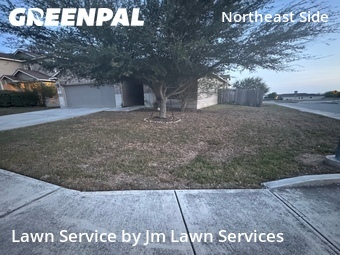 Grass Cut nearby Converse, TX, 