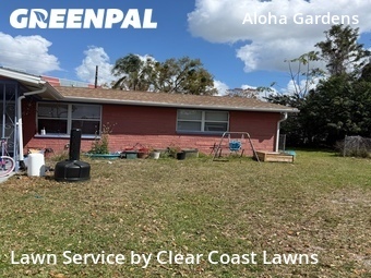 Lawn Cut nearby Holiday, FL, 