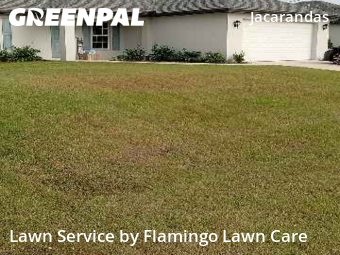 Lawn Services in Cape Coral, 33909, Grass Care by Flamingo Lawn Care, work completed in Dec , 2025